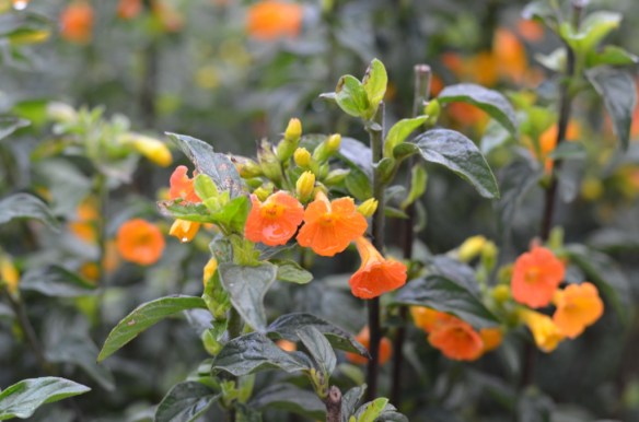 ????????????????????????????????????