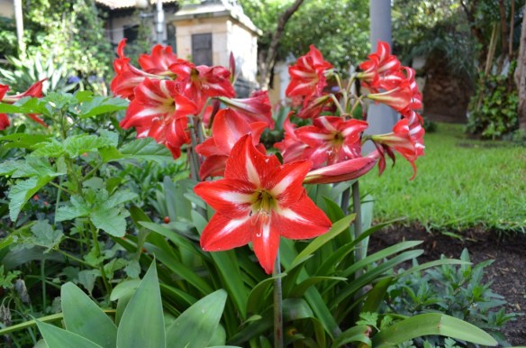 ????????????????????????????????????