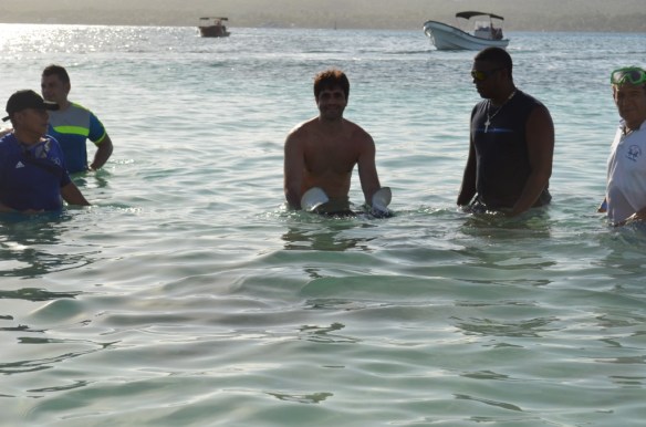 ????????????????????????????????????