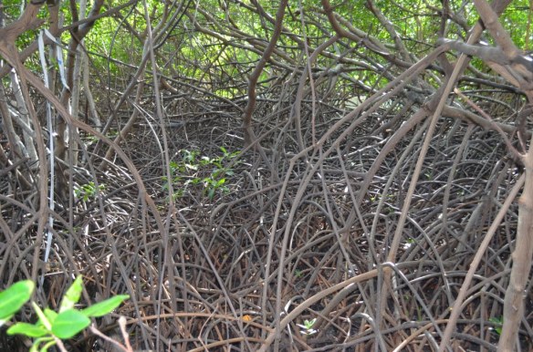 ????????????????????????????????????