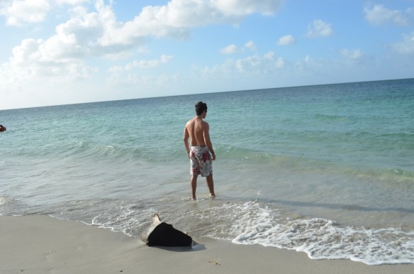 ????????????????????????????????????