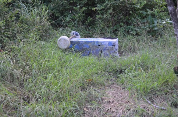 ????????????????????????????????????