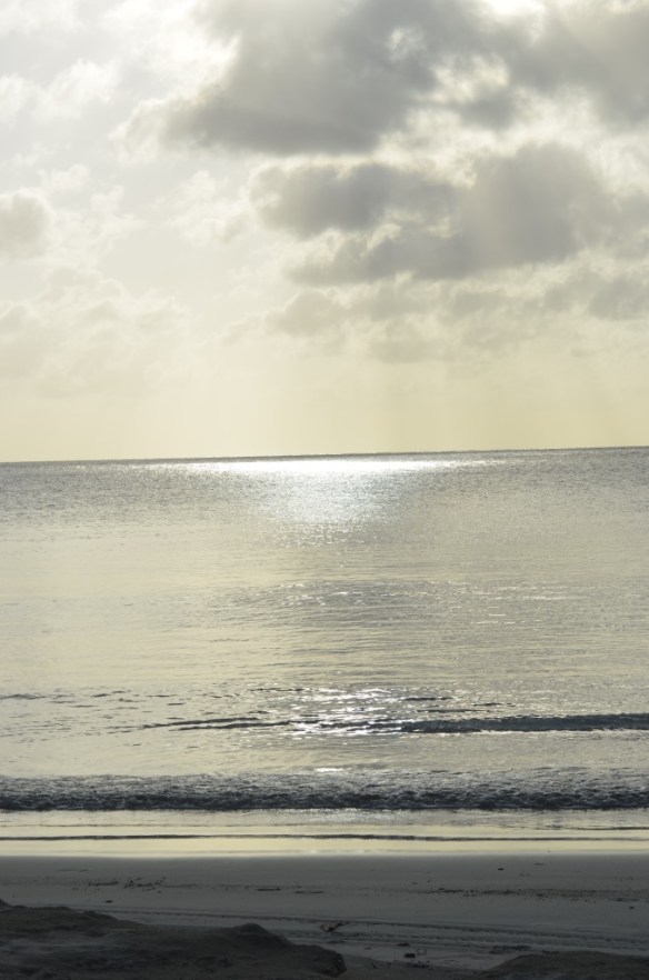 ????????????????????????????????????