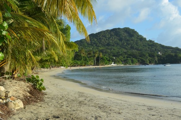 ????????????????????????????????????