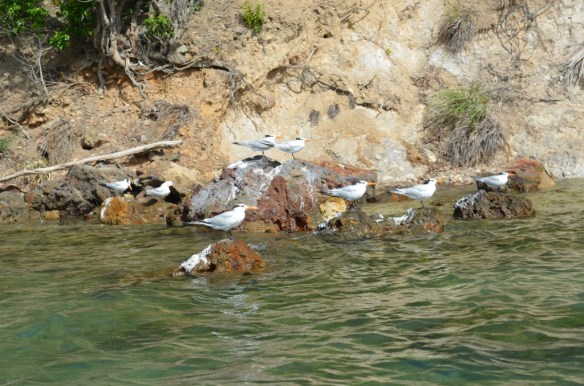 ????????????????????????????????????