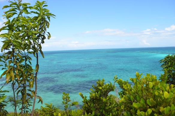 ????????????????????????????????????