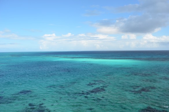 ????????????????????????????????????