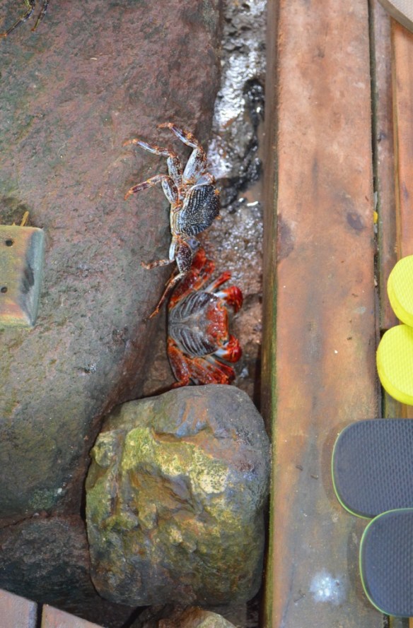 ????????????????????????????????????