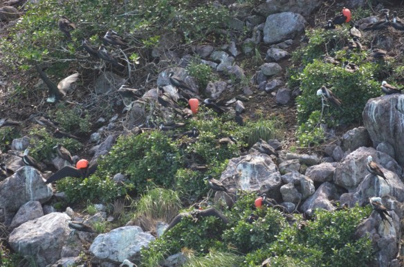 ????????????????????????????????????