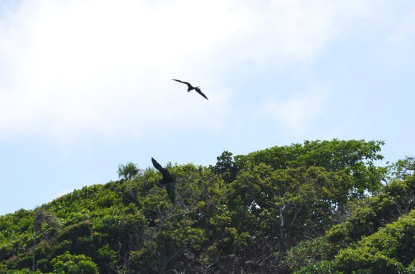 ????????????????????????????????????