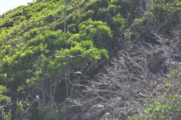 ????????????????????????????????????