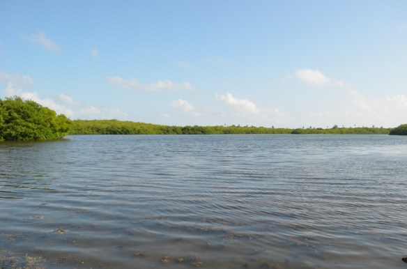 ????????????????????????????????????