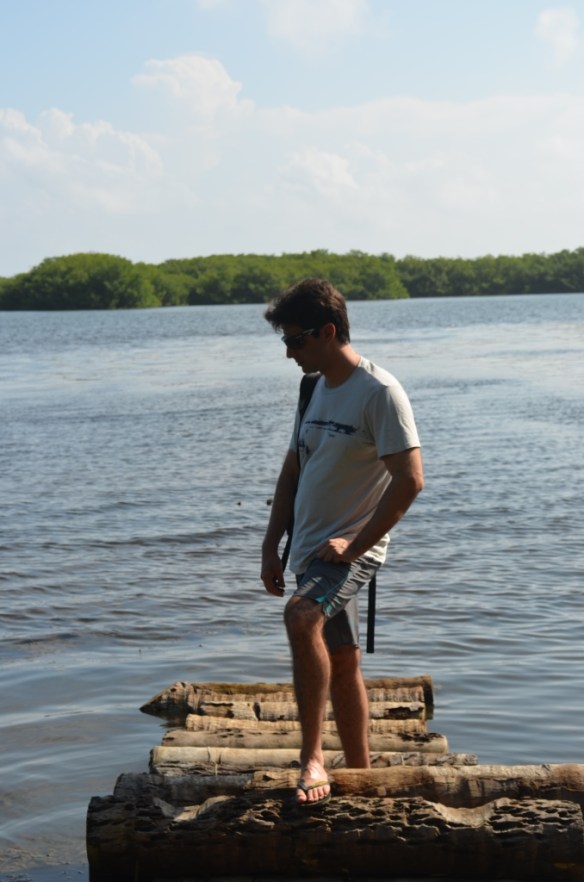 ????????????????????????????????????