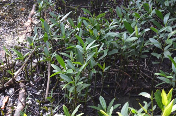 ????????????????????????????????????