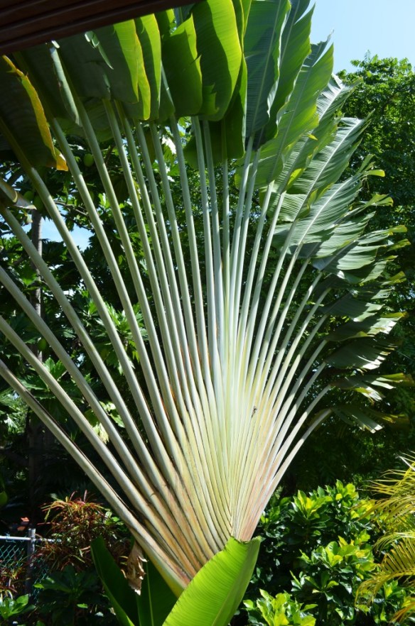 ????????????????????????????????????