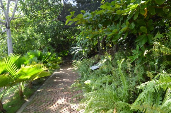 ????????????????????????????????????