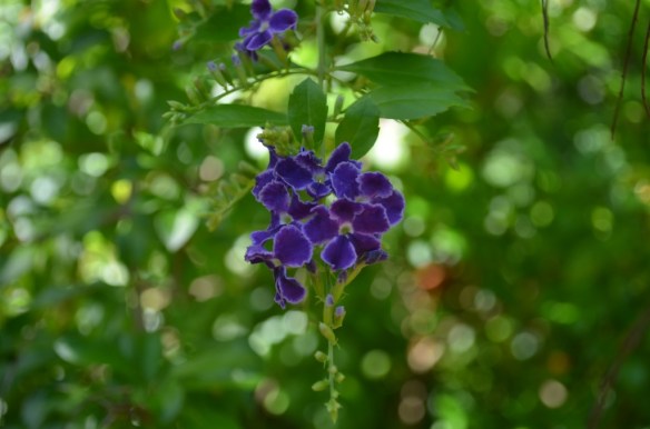 ????????????????????????????????????