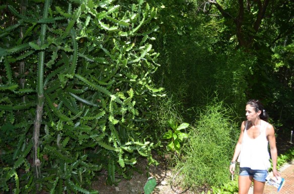 ????????????????????????????????????