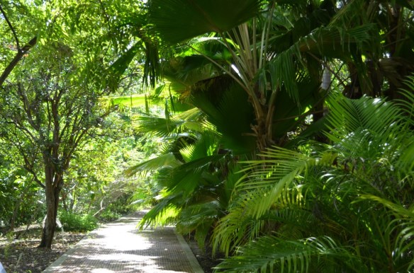 ????????????????????????????????????