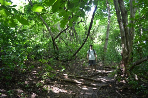 ????????????????????????????????????