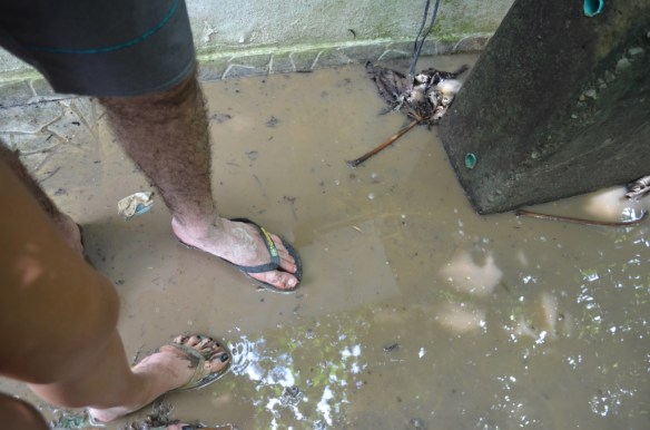 ????????????????????????????????????