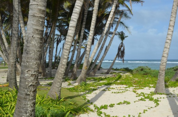 ????????????????????????????????????