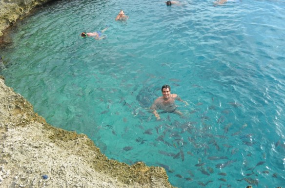 ????????????????????????????????????