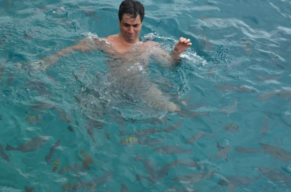 ????????????????????????????????????