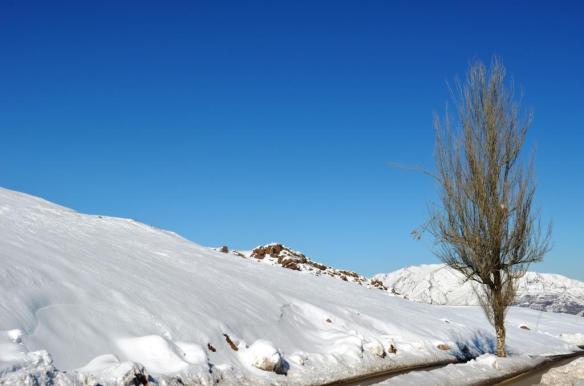 ????????????????????????????????????