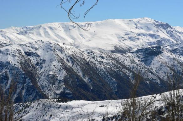 ????????????????????????????????????