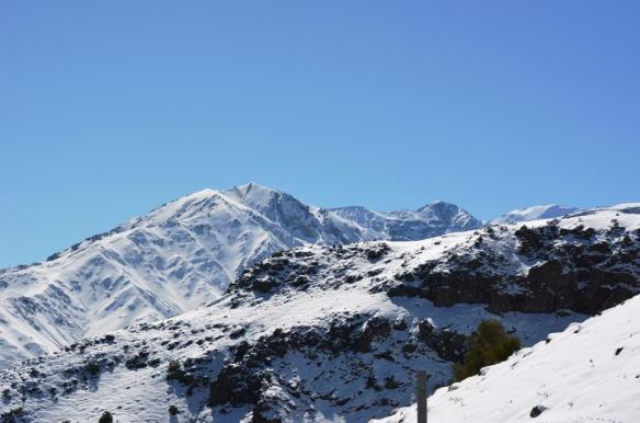 ????????????????????????????????????