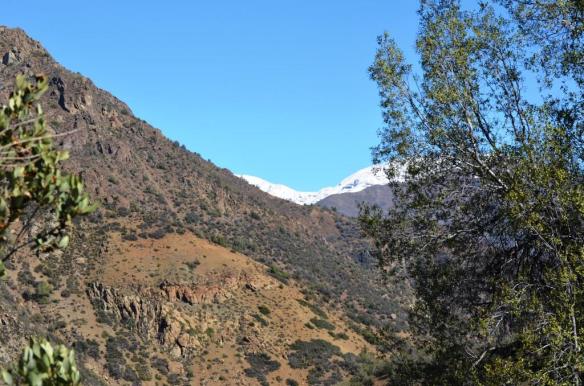 ????????????????????????????????????