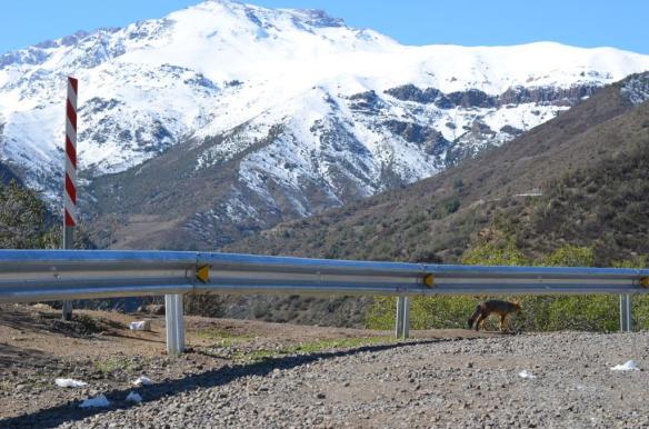 ????????????????????????????????????