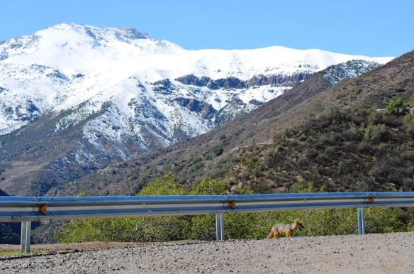 ????????????????????????????????????