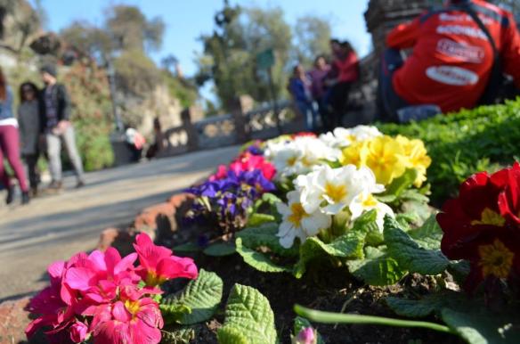 ????????????????????????????????????