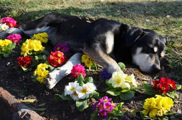 ????????????????????????????????????