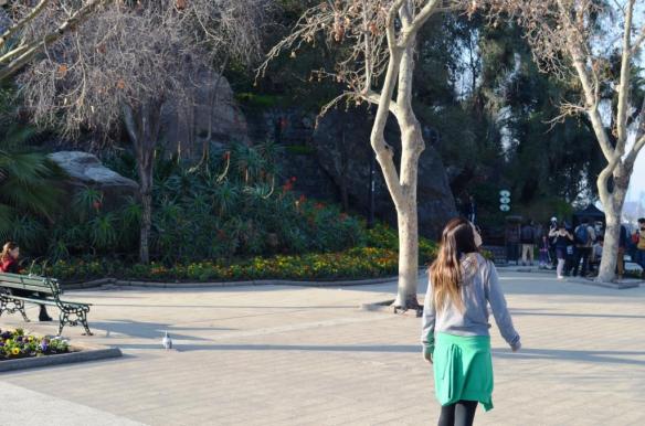 ????????????????????????????????????