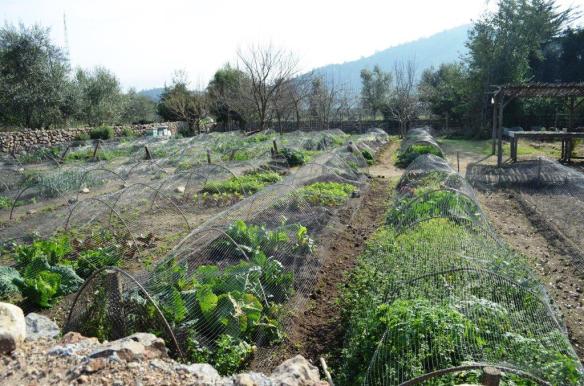 ????????????????????????????????????