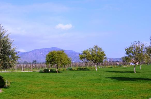 ????????????????????????????????????