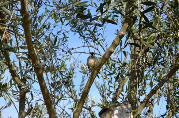 ????????????????????????????????????