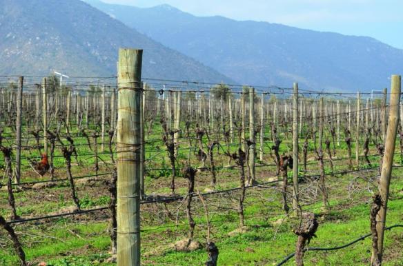 ????????????????????????????????????