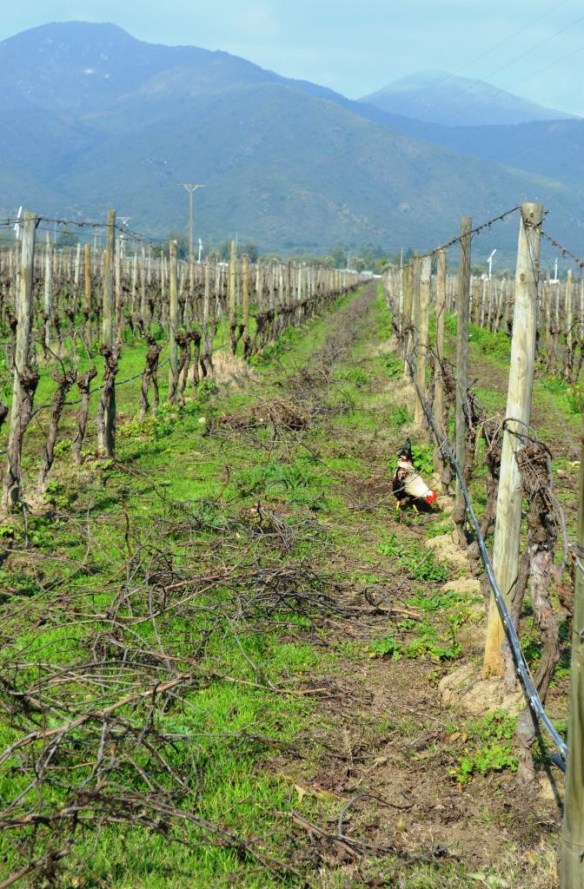 ????????????????????????????????????