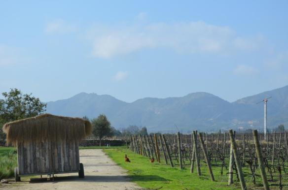 ????????????????????????????????????