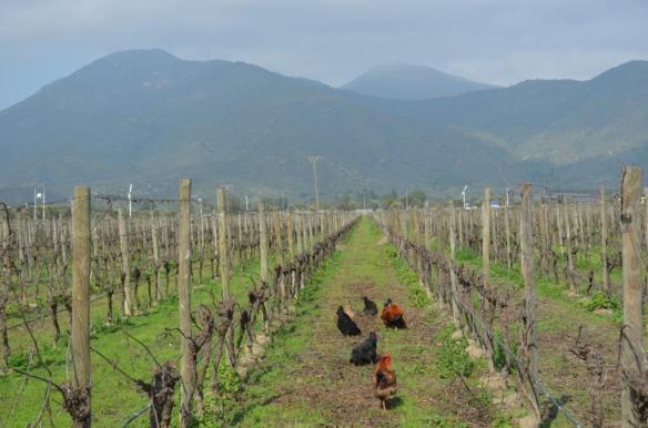 ????????????????????????????????????