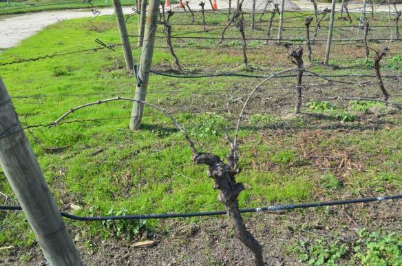 ????????????????????????????????????