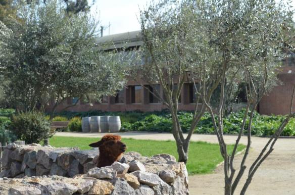 ????????????????????????????????????