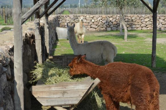 ????????????????????????????????????