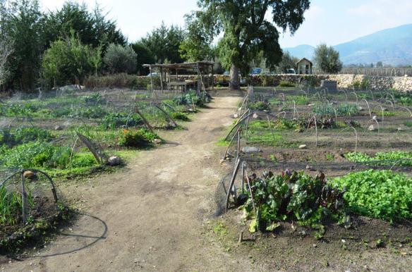 ????????????????????????????????????