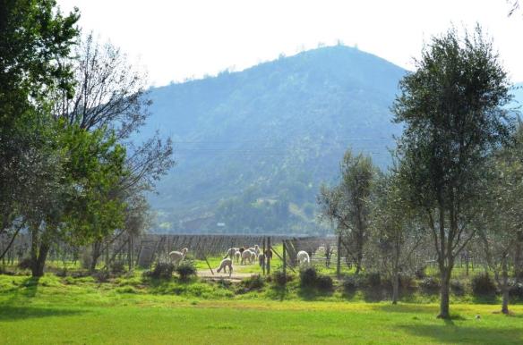 ????????????????????????????????????