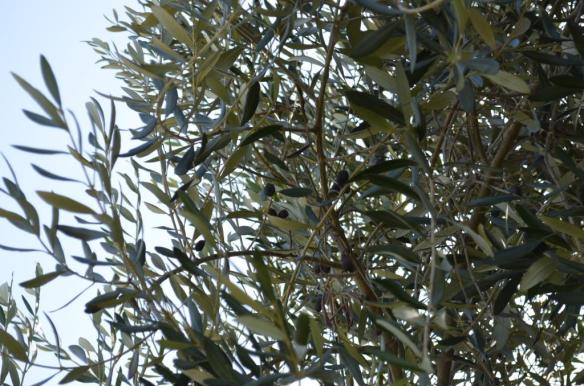 ????????????????????????????????????